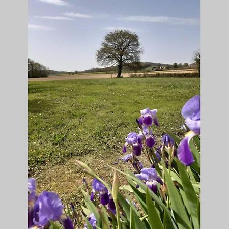 Gite Du Clos Baste Moncaup  Екстер'єр фото